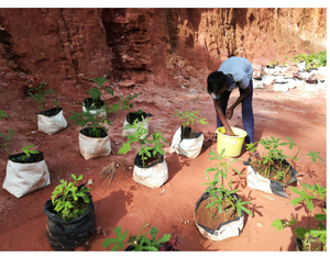 44011-krishi eco2.png