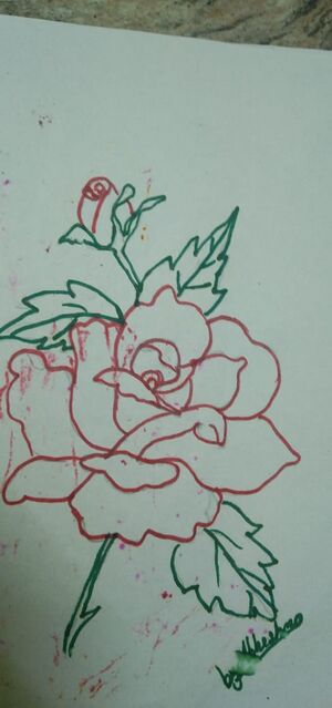 44055 1abhishma.jpeg