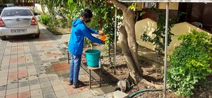 BS21 PKD 21029 2.jpg