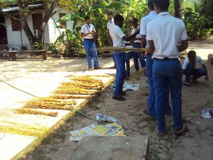 Protectnature 35052 (5).jpg