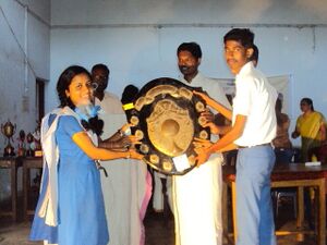 Scchampion 11 35052 (1).JPG