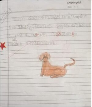 13369 KUP MUHD HAMDAN.jpeg