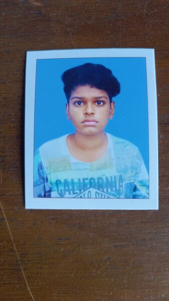 പ്രമാണം:14028 aryacheethus.jpg