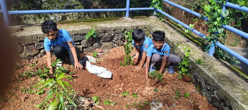 പ്രമാണം:19826 cleaning.jpeg