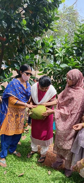 പ്രമാണം:24348 gbs pd 2.jpg