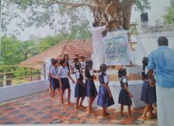 അന്താരാഷ്ട്ര വന ദിനം