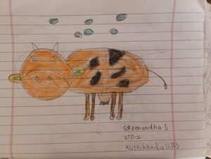 40238-KLM-KUNJ-SREENANDHA .jpeg