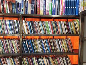 41052 libray.resized.jpg