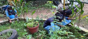 47045-DRY DAY 5.jpeg