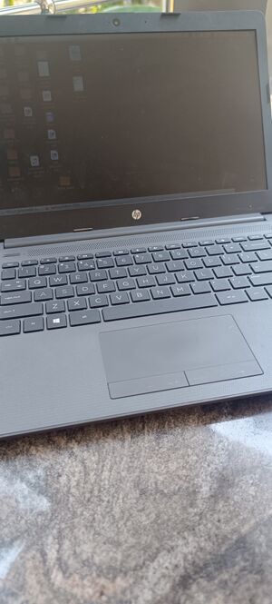 47484 1742017533865.jpg