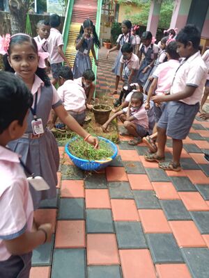 October 2 cleaning1.jpg