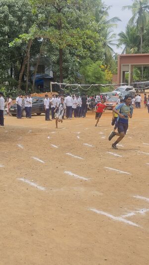 Sports 16008 2025-11.jpeg