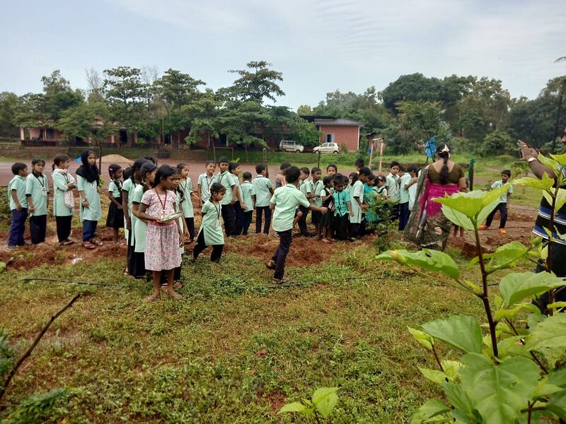 പ്രമാണം:Vegetable garden glps vamanjoor.jpg