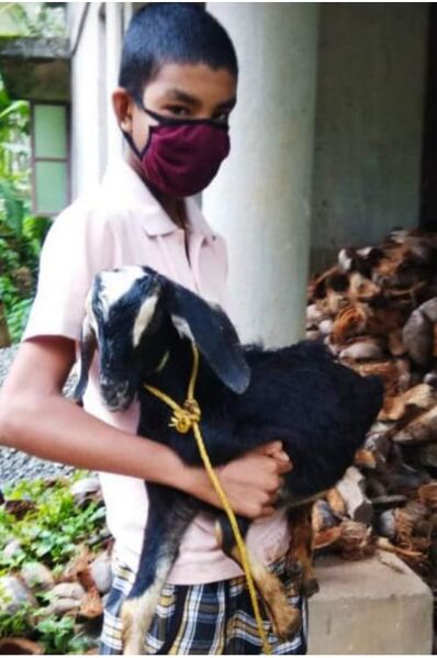 പ്രമാണം:13075 169.jpeg