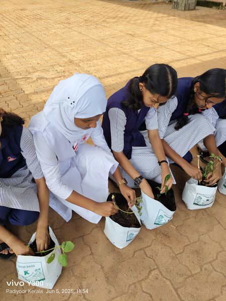 പ്രമാണം:13121-Environment day-img 2.jpg