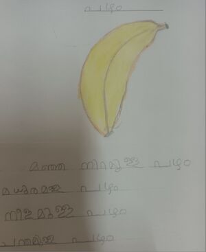 13917-KNR-KUNJ-SREENANDAN-1 C.jpg