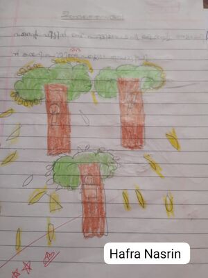 19252-MLP-KUNJ-HAFRA NASRUIN 1 B.jpg