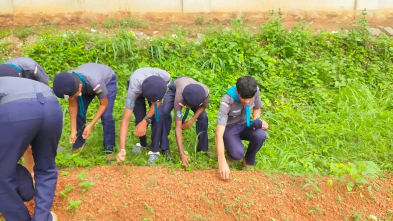 പ്രമാണം:20042 Scouts.jpg