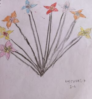 21357-PKD-KUNJ-KASTHURI K.jpeg