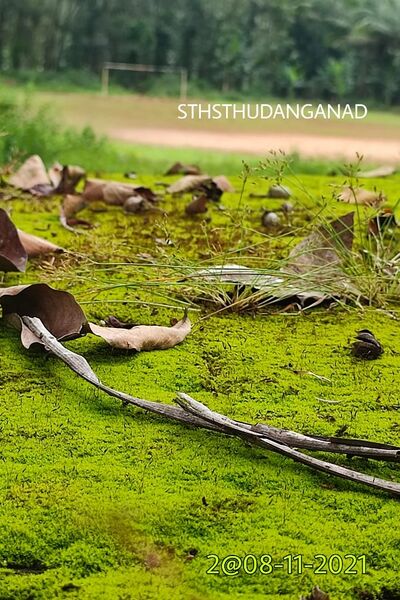 പ്രമാണം:29032 413.jpeg