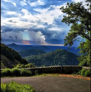 29312 karimkunnam16.jpg