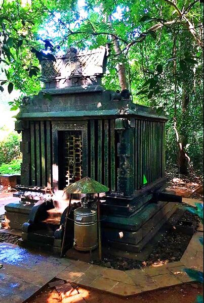 പ്രമാണം:29312 karimkunnam17.jpg