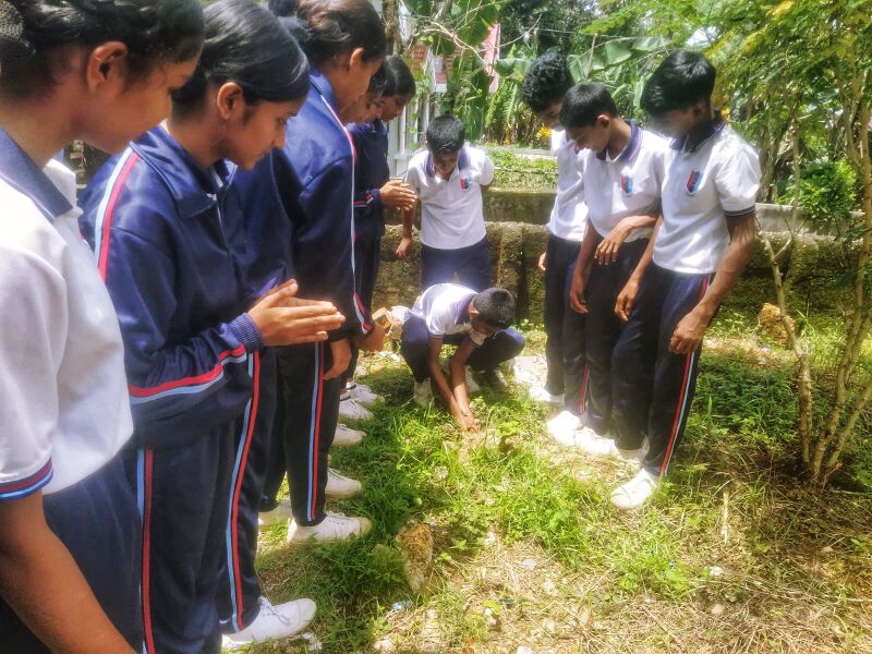 പ്രമാണം:36037 pd ncc 2.2025.jpg