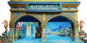 43008 Marine world.jpeg