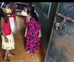 BS21 MLP 48135 3.jpg