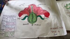 WhatsApp Image 2025-09-24 at 2.30.50 PM.jpeg