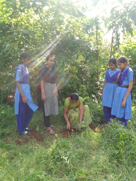 പ്രമാണം:11005-JUNE5 2.jpg