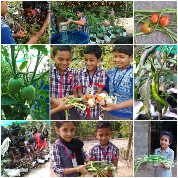 പ്രമാണം:14511 230.jpeg