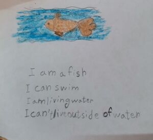 15303-WYD-KUNJ-INSHA FATHIMA 1.jpg