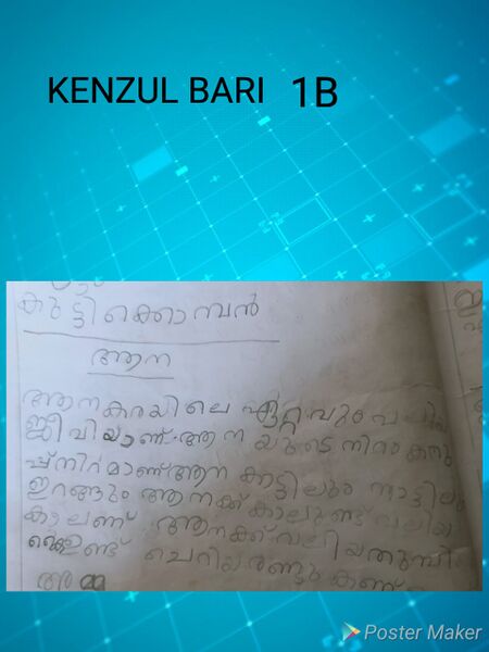 പ്രമാണം:18512-MLP-KUNJ-KENZUL BARI.jpg