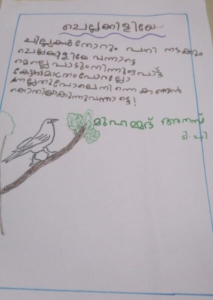 പ്രമാണം:19330-MLP-KUNJ-MUHAMMED ANAS T.P.jpg