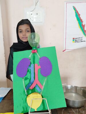 19441-science fair8.jpg