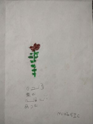 19766-MLP-KUNJ-SANOOJ SATHEESH AP.jpg