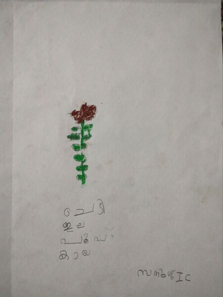 പ്രമാണം:19766-MLP-KUNJ-SANOOJ SATHEESH AP.jpg