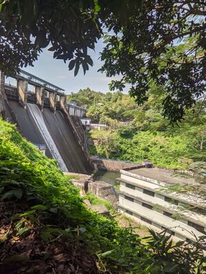 22212cnn study tour.jpg