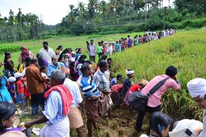 29312 koithulsavam11.jpeg