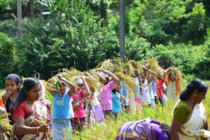 29312 koithulsavam8.jpeg