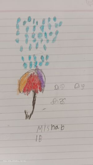 34331-ALP-KUNJ-MUHAMMED MISHAB 1D.jpg