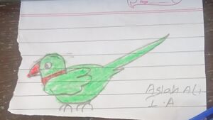 43110-TVM-KUNJ-ASLAH ALI.jpg