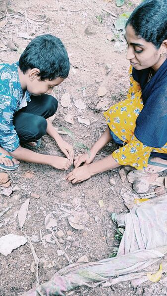 പ്രമാണം:44050 eco 90.jpeg