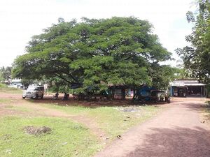 48478 Church kattumunda.jpeg