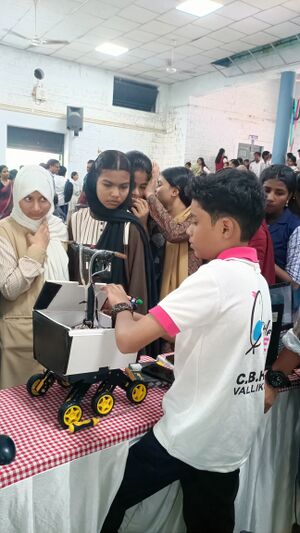 Drcmlp-li-mikavu 11.jpg