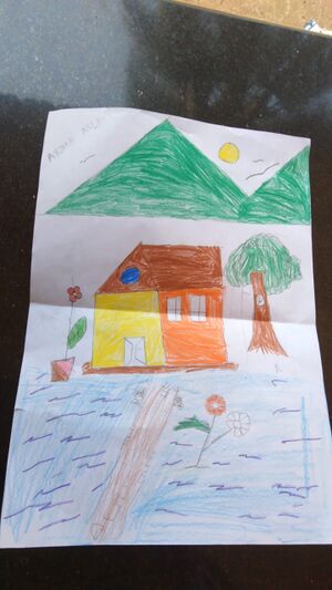 18748-MLP-KUNJ-AYSHA ASLI.T.jpg