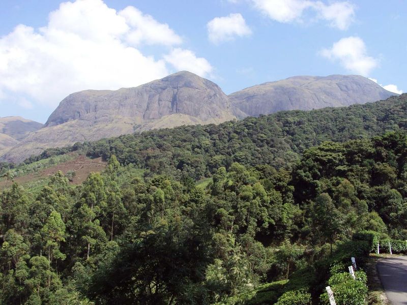 പ്രമാണം:1Anamudi from Munnar Gundumalai road.jpg