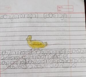 21915-PKD-KUNJ-ANSIF L .jpeg