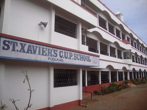 23359- Stxcupspkdwky.jpg